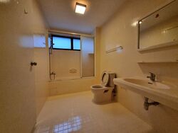 The Cairnhill (D9), Condominium #555762521
